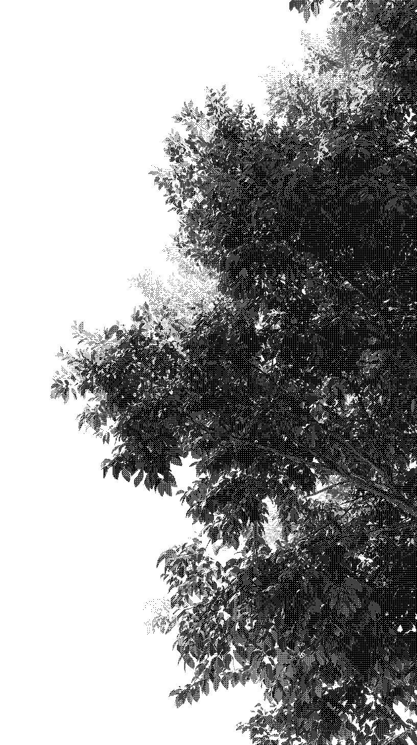 Textured overlay background